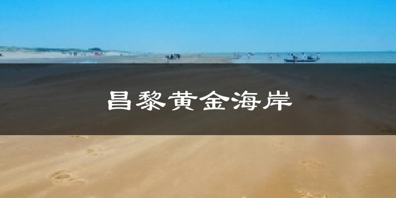 昌黎黄金海岸气温
