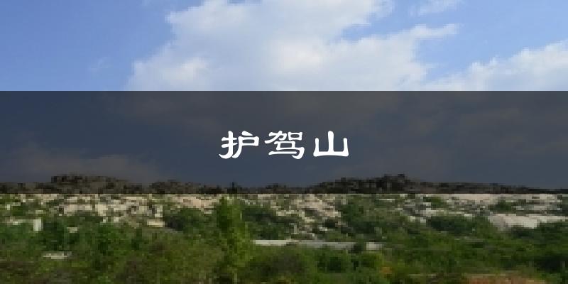 护驾山今日天气